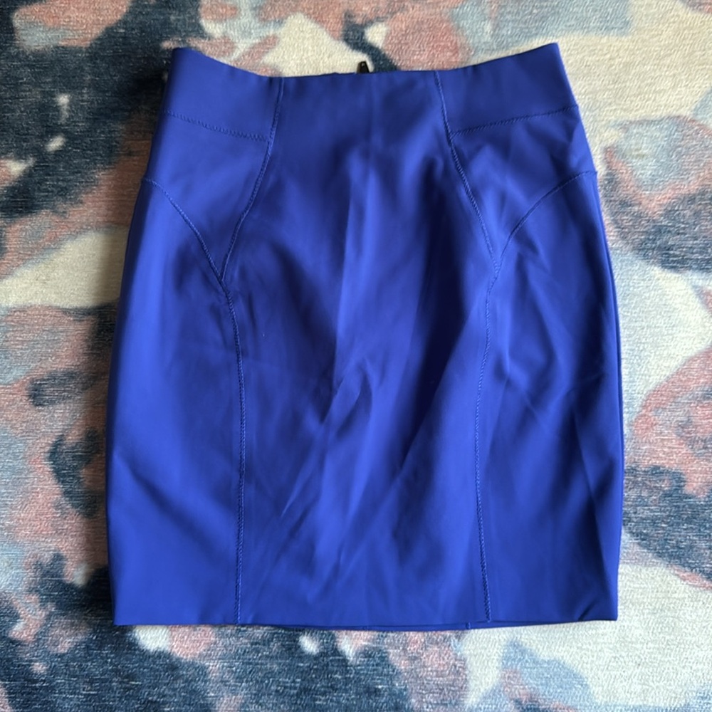 Alexander Wang Blue Fitted Mini Skirt